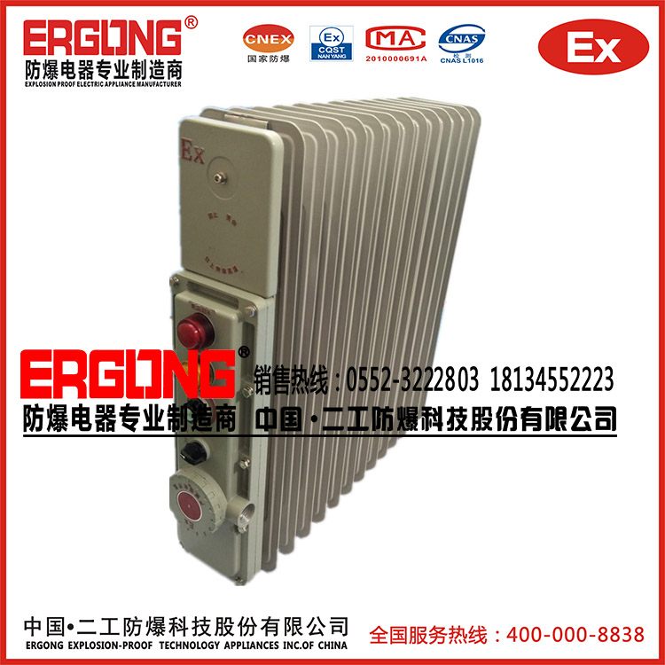 防爆電暖片加熱片生產(chǎn)廠(chǎng)家